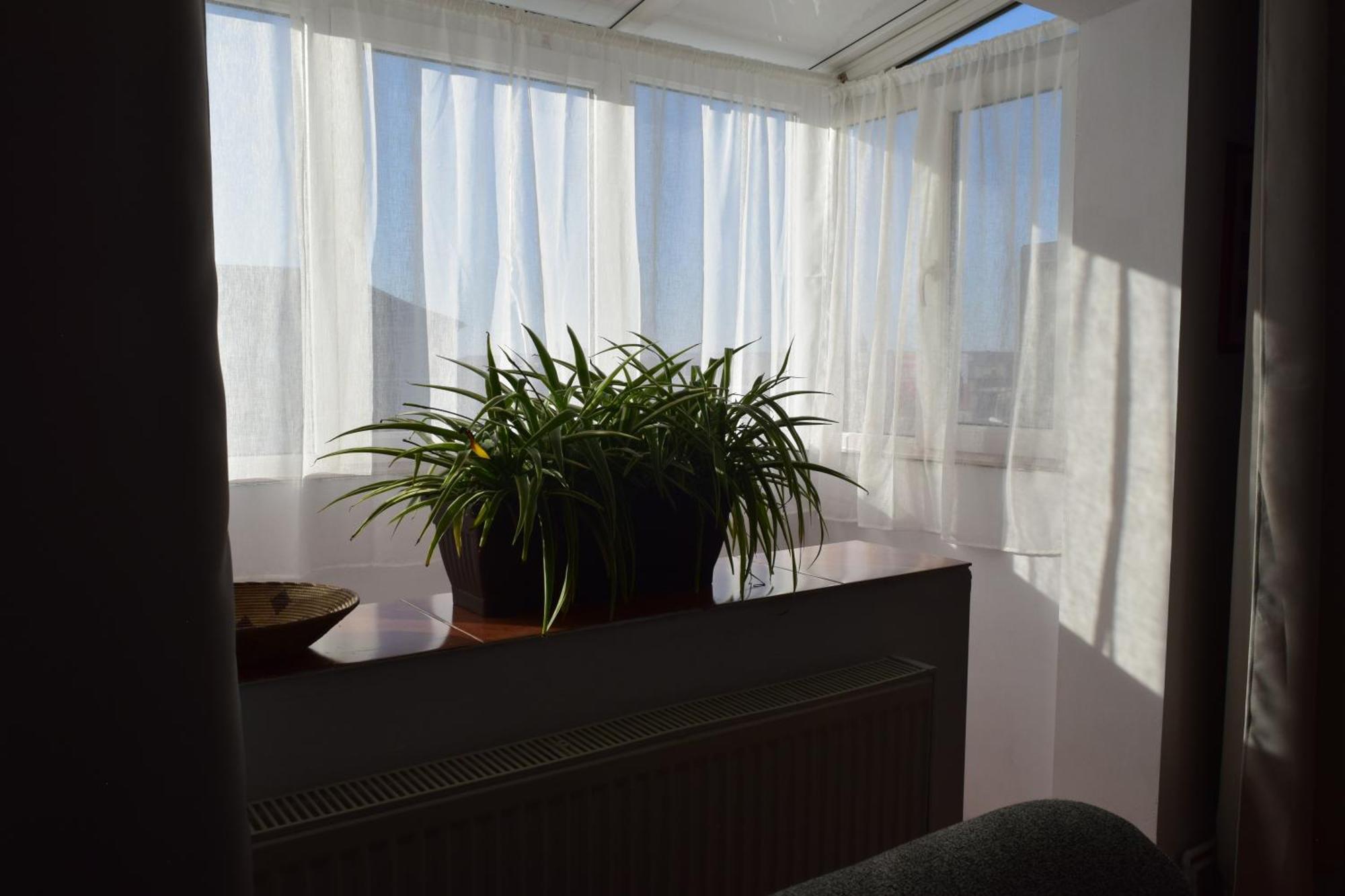 Apartament Simina Timisoara Esterno foto